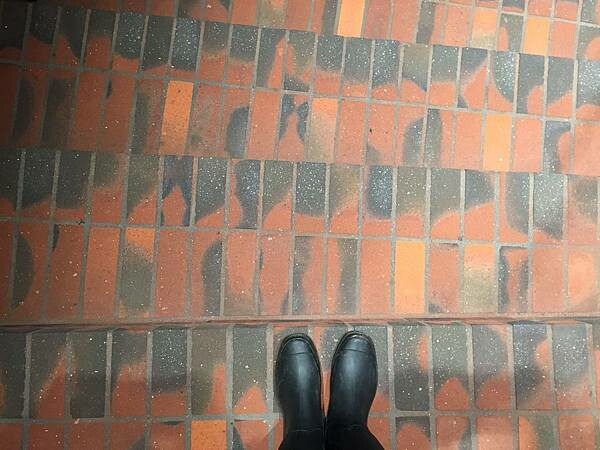 德國-漢堡一日遊