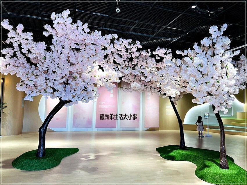 帶你深入三芝遊客中心！從古典風格建築到全新展覽，了解三芝名人的故事，享受親子友善環境，還有免費停車和可愛水池等你來體驗。