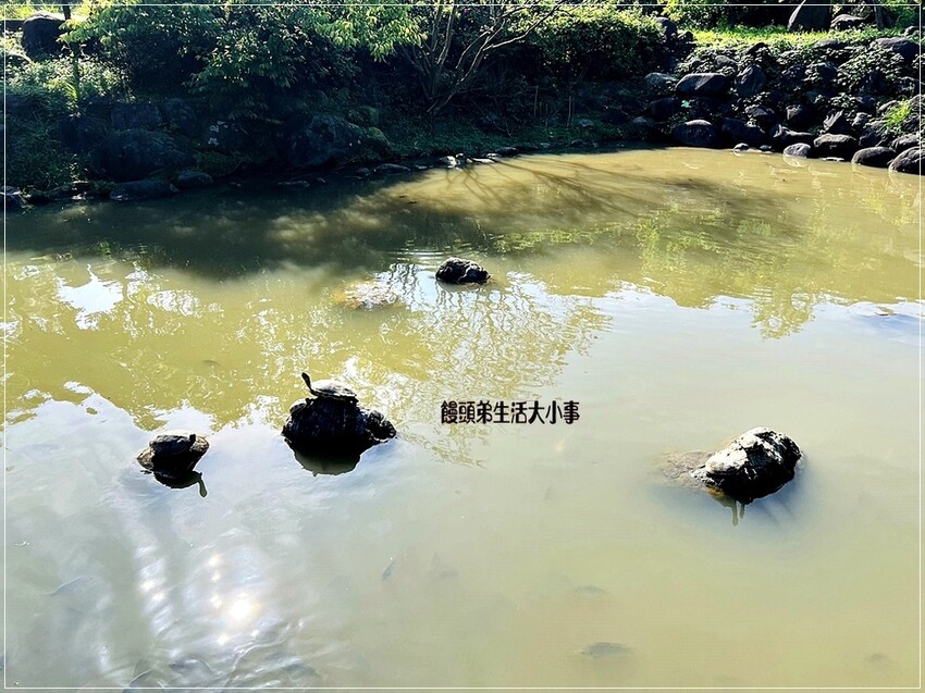 帶你深入三芝遊客中心！從古典風格建築到全新展覽，了解三芝名人的故事，享受親子友善環境，還有免費停車和可愛水池等你來體驗。