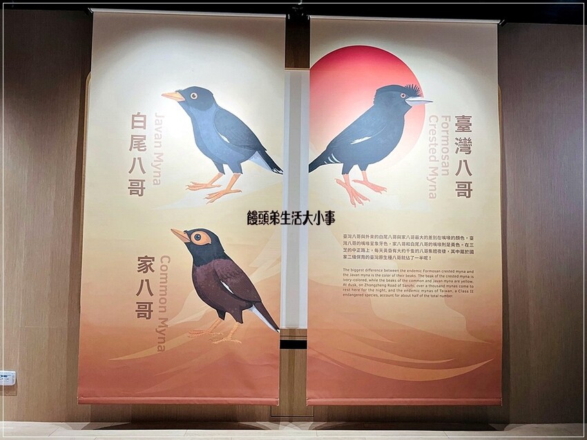 帶你深入三芝遊客中心！從古典風格建築到全新展覽，了解三芝名人的故事，享受親子友善環境，還有免費停車和可愛水池等你來體驗。