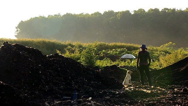 The Movie posters and stills of Taiwan record movie 