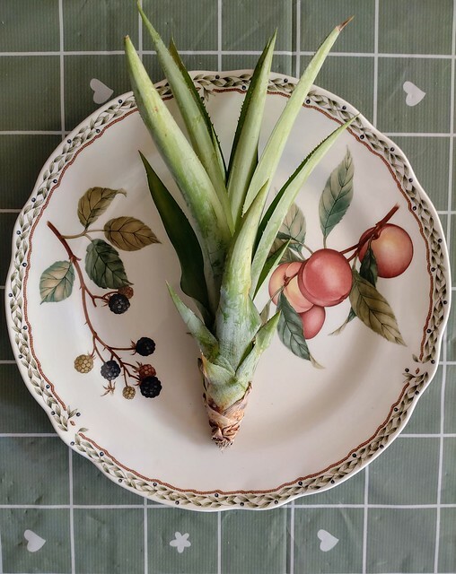 The Movie posters and stills of Taiwan record movie 