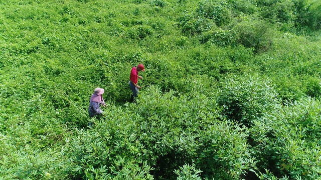 The Movie posters and stills of Taiwan record movie 
