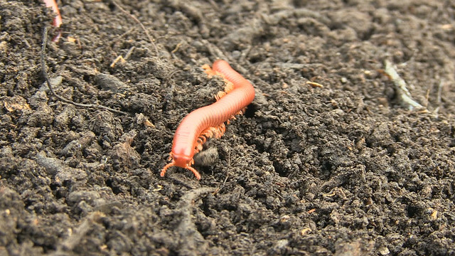 The Movie posters and stills of Taiwan record movie 