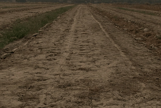 The Movie posters and stills of Taiwan record movie 