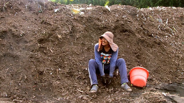 The Movie posters and stills of Taiwan record movie 