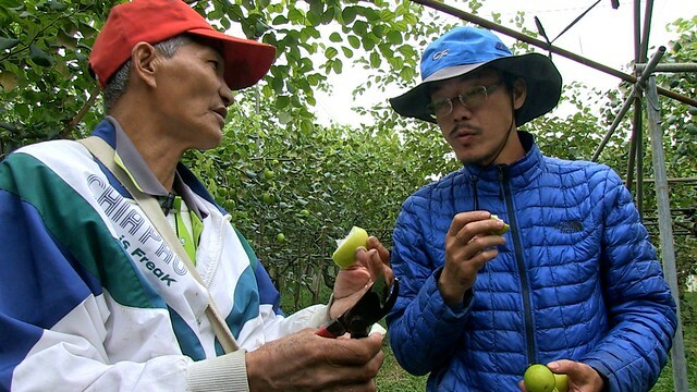 The Movie posters and stills of Taiwan record movie 