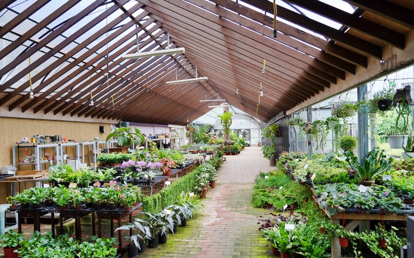 繡球花冰淇淋！苗栗夢幻「花露農場Flower Home」，讓你在花海中享受幸福滋味。