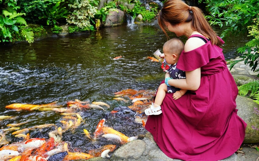 繡球花冰淇淋！苗栗夢幻「花露農場Flower Home」，讓你在花海中享受幸福滋味。