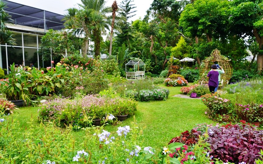 繡球花冰淇淋！苗栗夢幻「花露農場Flower Home」，讓你在花海中享受幸福滋味。