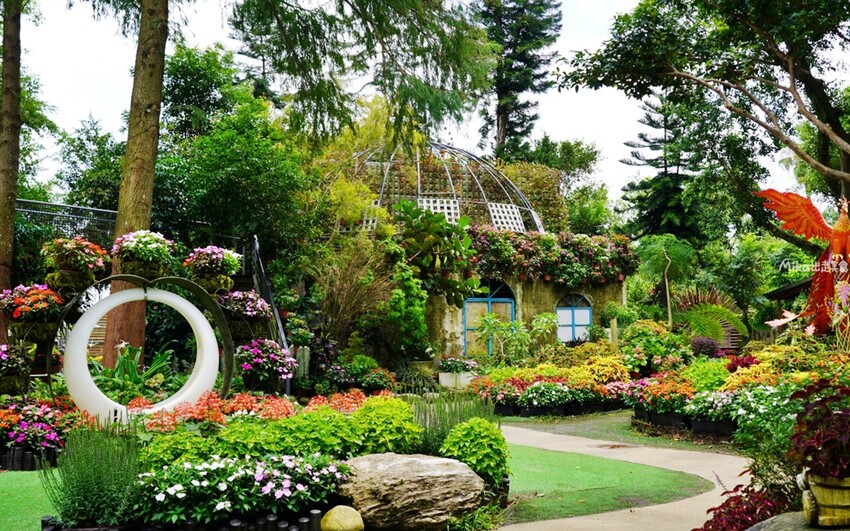 繡球花冰淇淋！苗栗夢幻「花露農場Flower Home」，讓你在花海中享受幸福滋味。