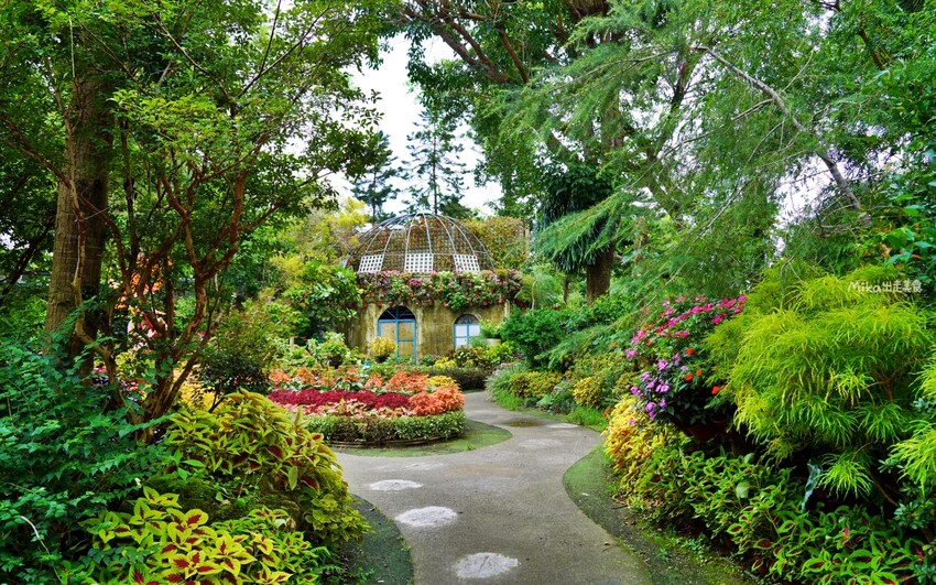 繡球花冰淇淋！苗栗夢幻「花露農場Flower Home」，讓你在花海中享受幸福滋味。