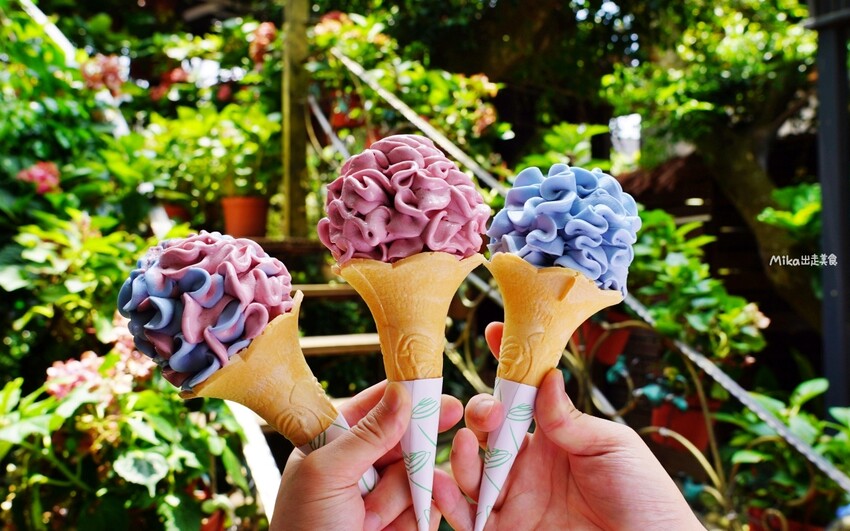 繡球花冰淇淋！苗栗夢幻「花露農場Flower Home」，讓你在花海中享受幸福滋味。