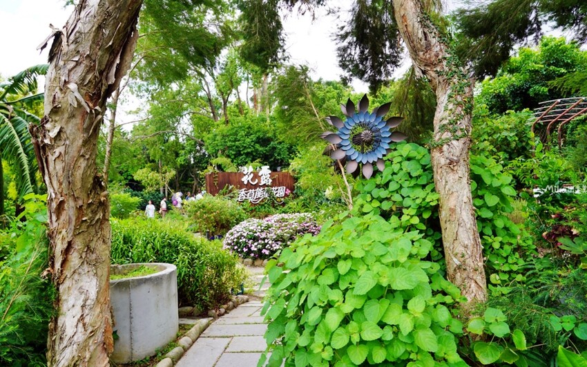 繡球花冰淇淋！苗栗夢幻「花露農場Flower Home」，讓你在花海中享受幸福滋味。