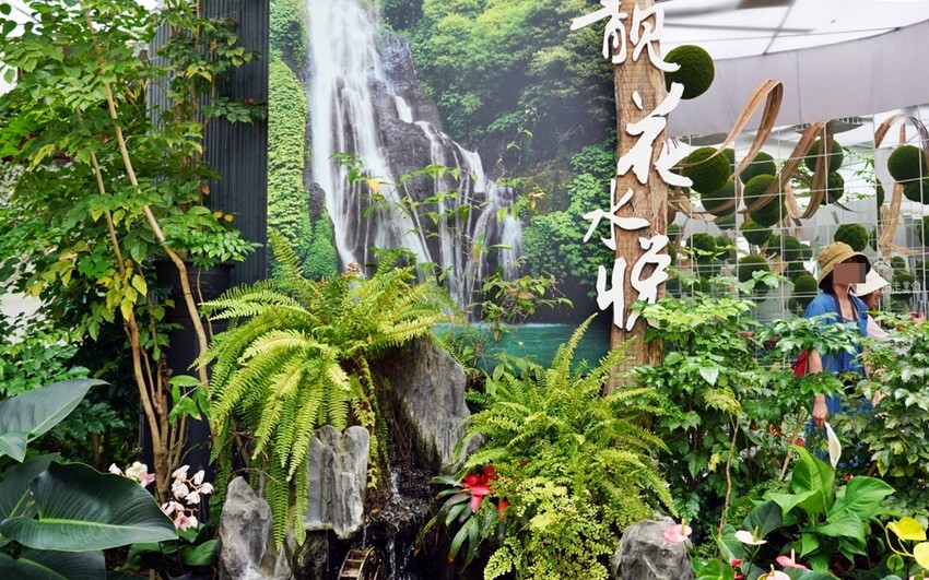 繡球花冰淇淋！苗栗夢幻「花露農場Flower Home」，讓你在花海中享受幸福滋味。