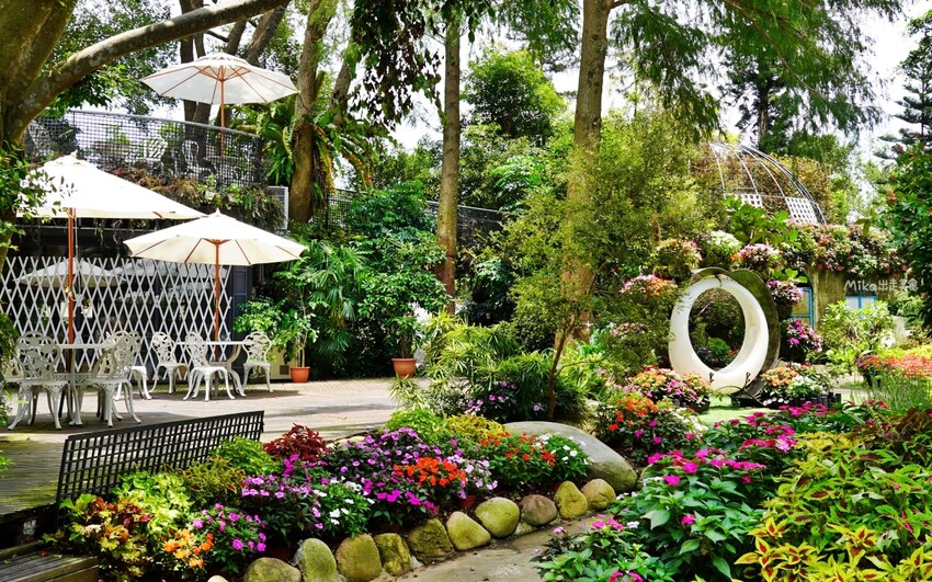 繡球花冰淇淋！苗栗夢幻「花露農場Flower Home」，讓你在花海中享受幸福滋味。