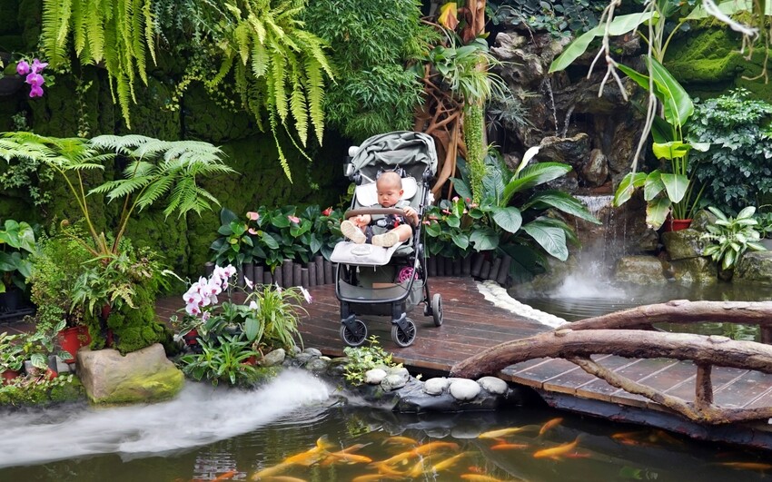 繡球花冰淇淋！苗栗夢幻「花露農場Flower Home」，讓你在花海中享受幸福滋味。