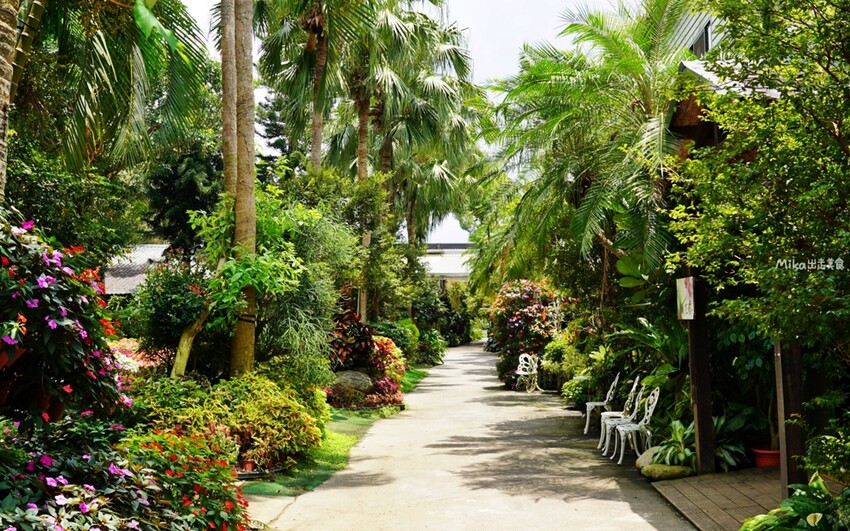 繡球花冰淇淋！苗栗夢幻「花露農場Flower Home」，讓你在花海中享受幸福滋味。