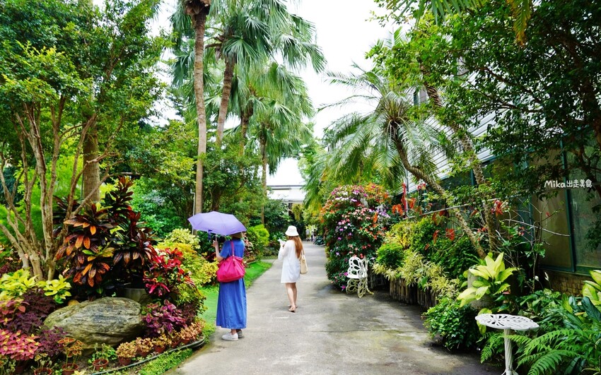 繡球花冰淇淋！苗栗夢幻「花露農場Flower Home」，讓你在花海中享受幸福滋味。