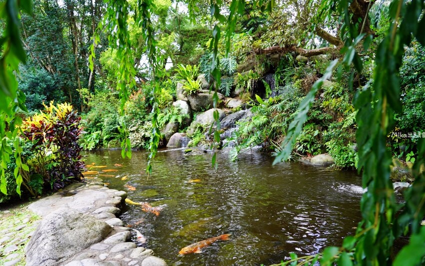 繡球花冰淇淋！苗栗夢幻「花露農場Flower Home」，讓你在花海中享受幸福滋味。