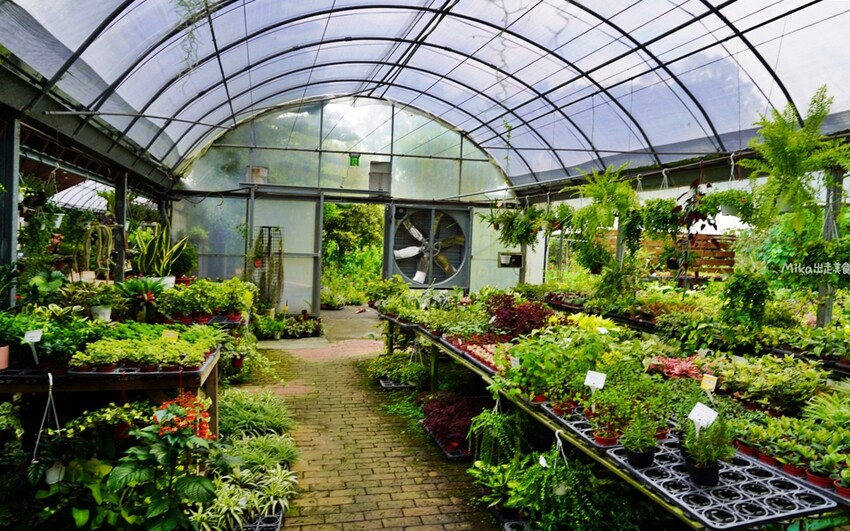 繡球花冰淇淋！苗栗夢幻「花露農場Flower Home」，讓你在花海中享受幸福滋味。