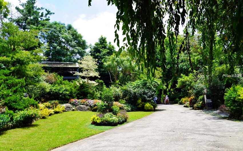 繡球花冰淇淋！苗栗夢幻「花露農場Flower Home」，讓你在花海中享受幸福滋味。