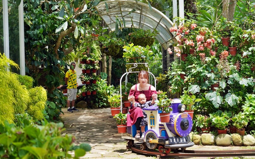 繡球花冰淇淋！苗栗夢幻「花露農場Flower Home」，讓你在花海中享受幸福滋味。