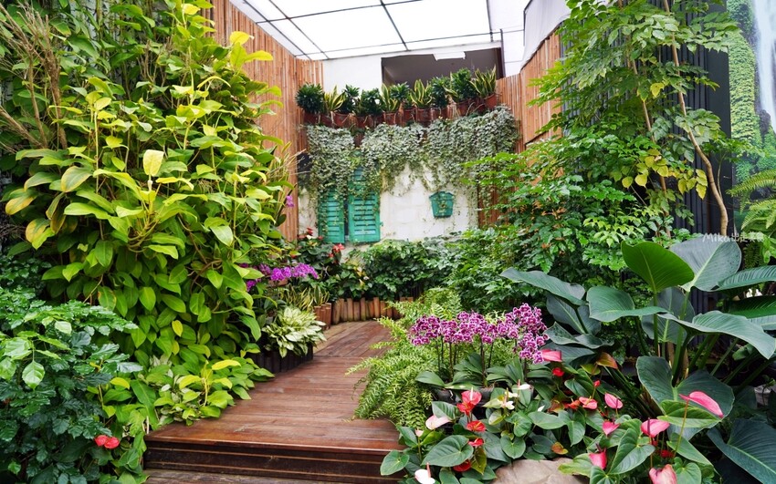 繡球花冰淇淋！苗栗夢幻「花露農場Flower Home」，讓你在花海中享受幸福滋味。