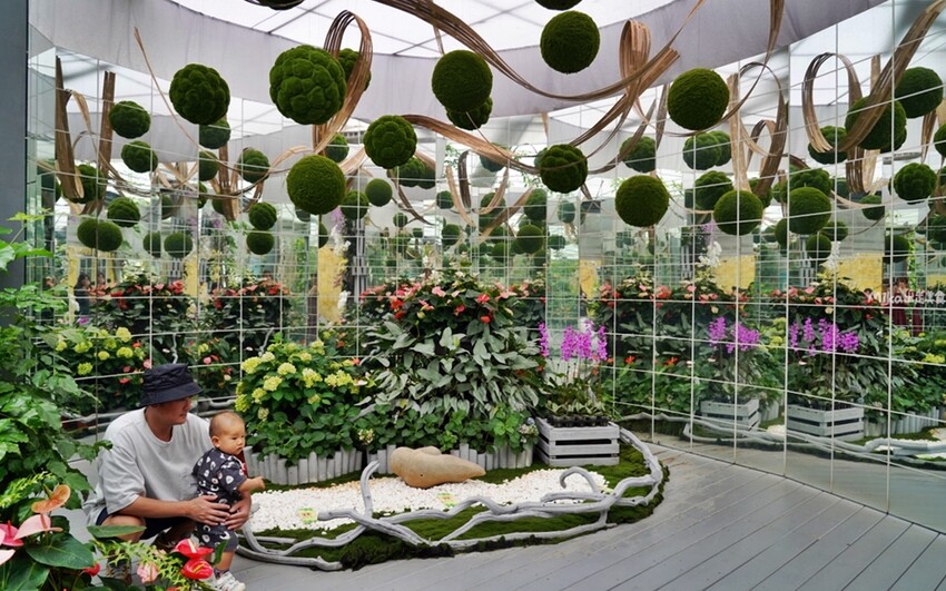 繡球花冰淇淋！苗栗夢幻「花露農場Flower Home」，讓你在花海中享受幸福滋味。