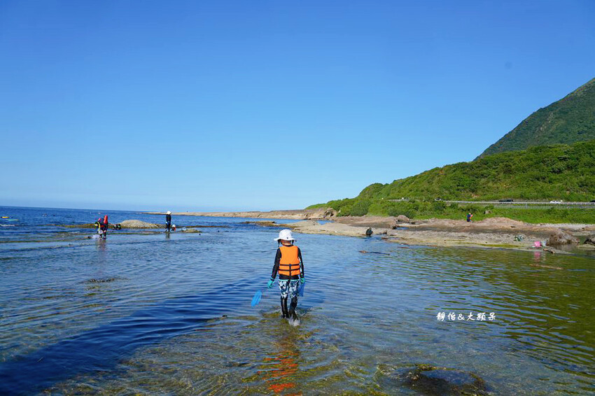 蝙蝠洞公園,新北瑞芳浮潛玩水勝地,盡情探索潮間帶生態!