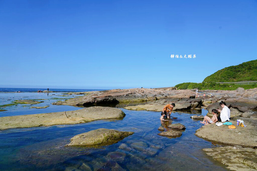 蝙蝠洞公園,新北瑞芳浮潛玩水勝地,盡情探索潮間帶生態!