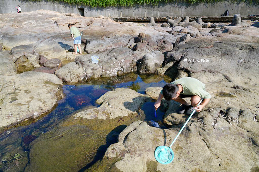 蝙蝠洞公園,新北瑞芳浮潛玩水勝地,盡情探索潮間帶生態!