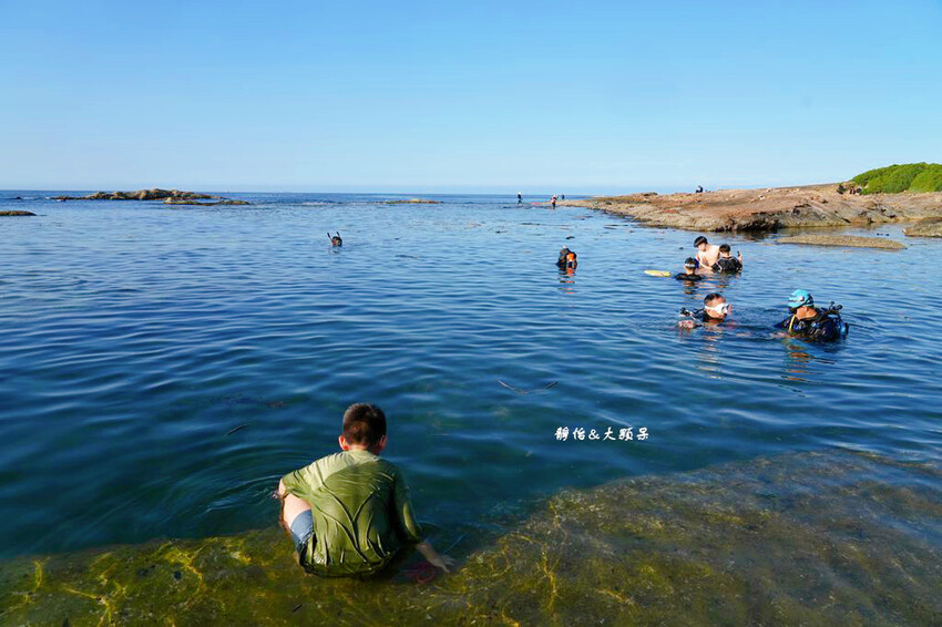 蝙蝠洞公園,新北瑞芳浮潛玩水勝地,盡情探索潮間帶生態!