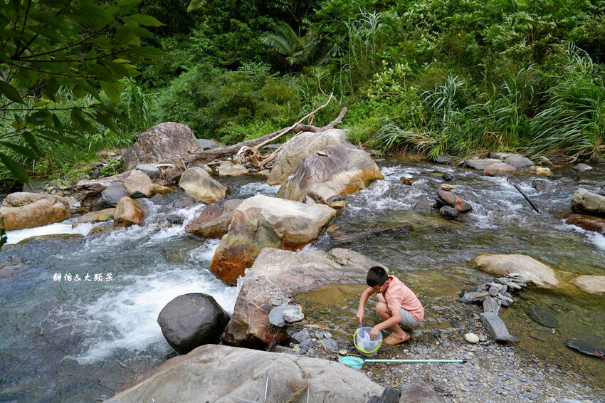 宜蘭溪邊玩水撈魚「圳頭鴛鴦溪」,員山隱藏版溪邊烤肉、親子玩水