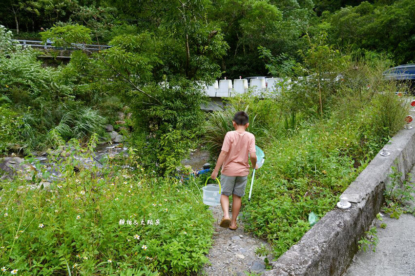 宜蘭溪邊玩水撈魚「圳頭鴛鴦溪」,員山隱藏版溪邊烤肉、親子玩水