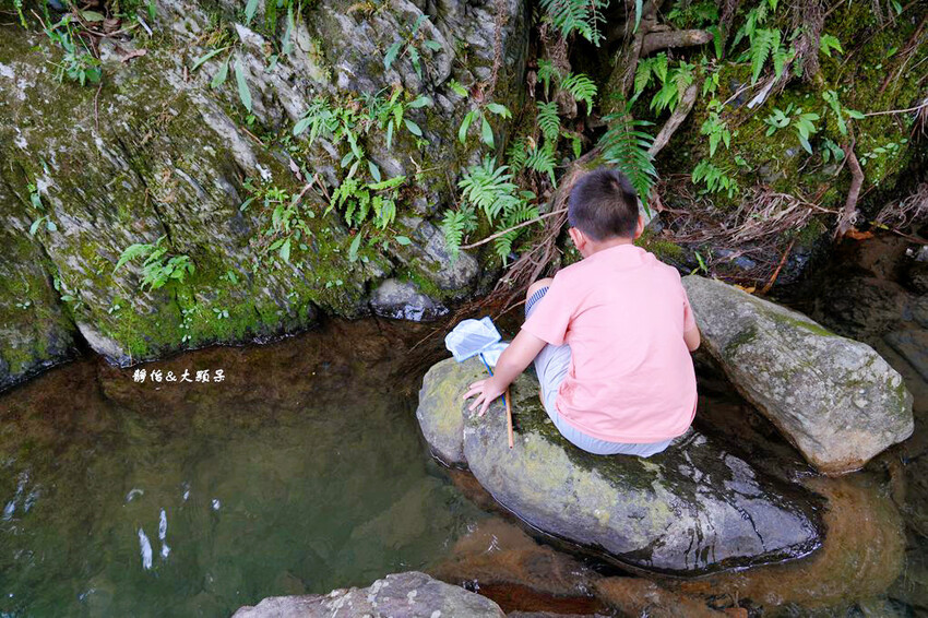 宜蘭溪邊玩水撈魚「圳頭鴛鴦溪」,員山隱藏版溪邊烤肉、親子玩水