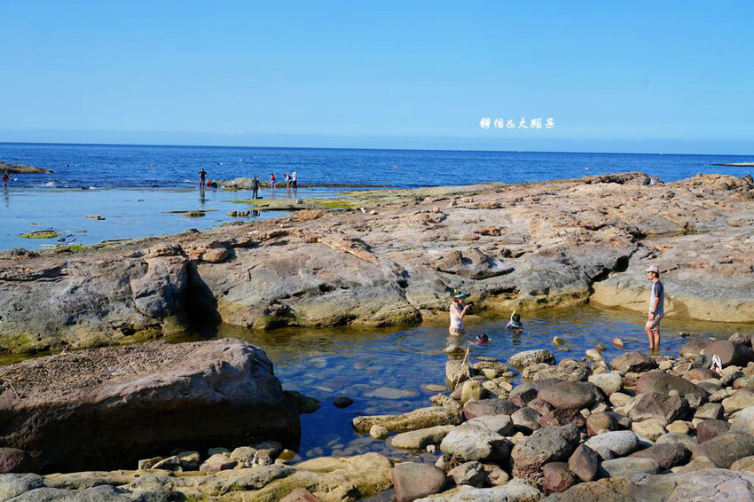 蝙蝠洞公園,新北瑞芳浮潛玩水勝地,盡情探索潮間帶生態!