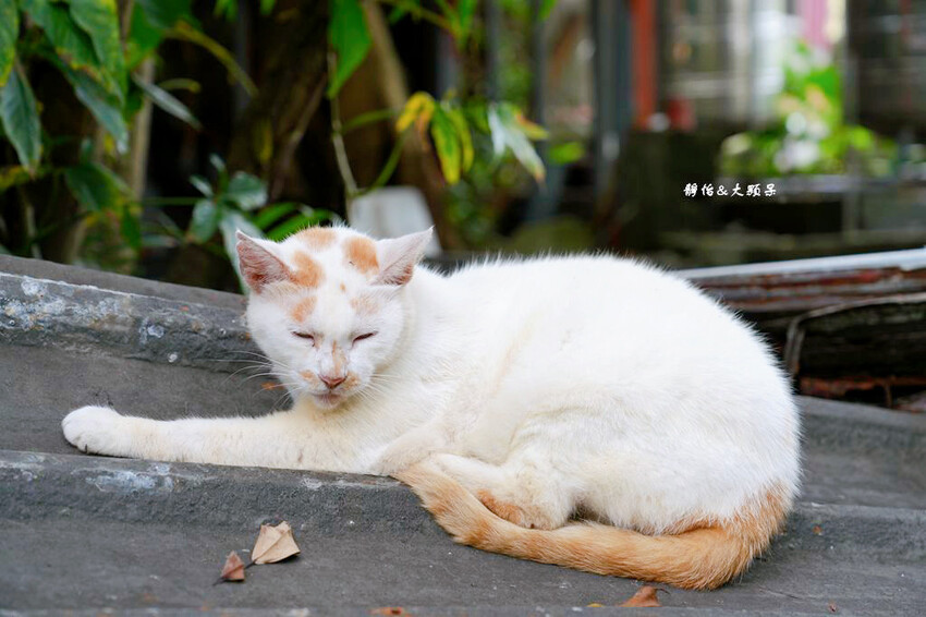基隆新地標「基隆塔」，俯瞰基隆港美景，觀景塔、天空步道免費開