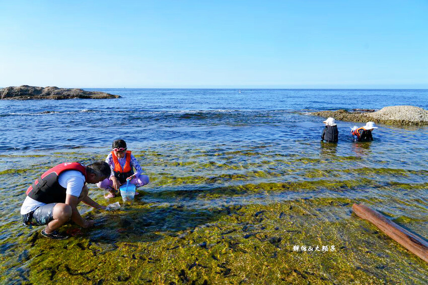 蝙蝠洞公園,新北瑞芳浮潛玩水勝地,盡情探索潮間帶生態!