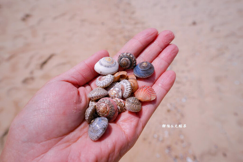 釜山旅遊「松島海水浴場」,超療癒沙灘海景,北倉洞嫩豆腐享用道 釜山旅遊「松島海水浴場」,超療癒沙灘海景,北倉洞嫩豆腐享用道