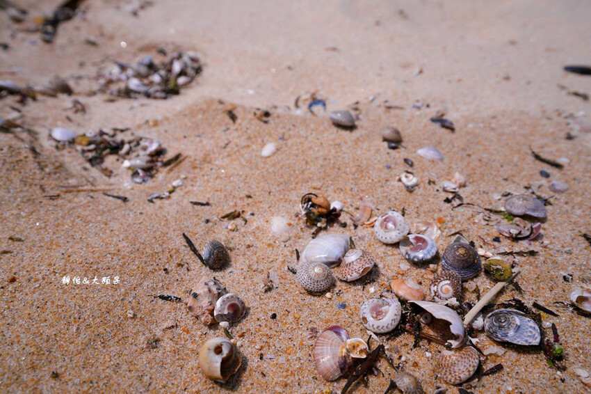 釜山旅遊「松島海水浴場」,超療癒沙灘海景,北倉洞嫩豆腐享用道 釜山旅遊「松島海水浴場」,超療癒沙灘海景,北倉洞嫩豆腐享用道