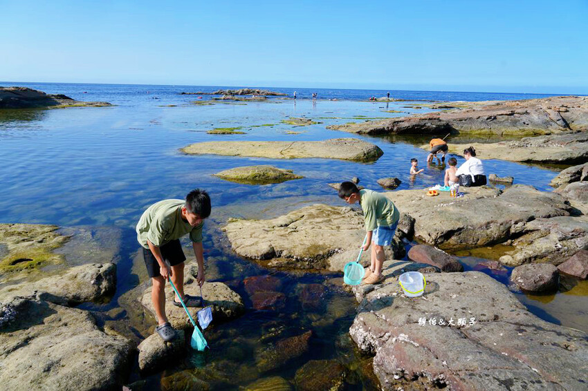 蝙蝠洞公園,新北瑞芳浮潛玩水勝地,盡情探索潮間帶生態!