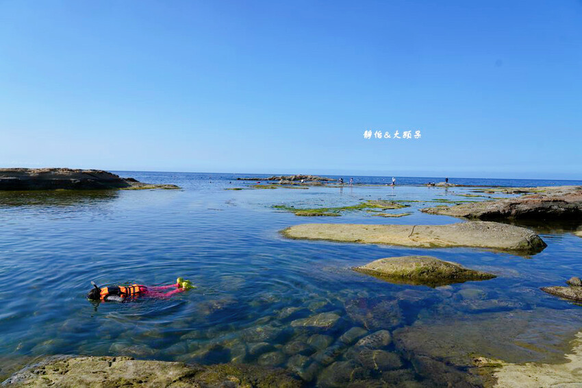 蝙蝠洞公園,新北瑞芳浮潛玩水勝地,盡情探索潮間帶生態!