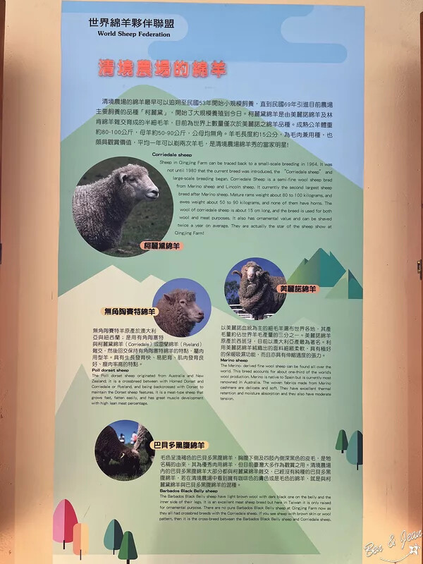 南投縣仁愛鄉清境農場一日遊|二日遊》青青草原門票資訊、交通地圖、綿羊秀、馬術秀精采又好看