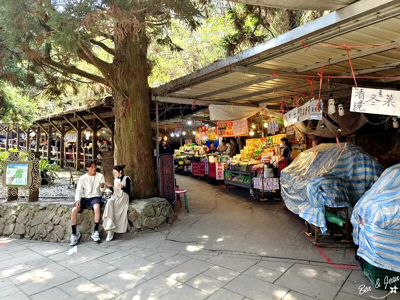 南投縣仁愛鄉清境農場一日遊|二日遊》青青草原門票資訊、交通地圖、綿羊秀、馬術秀精采又好看