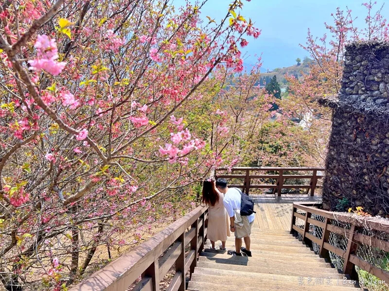 南投縣仁愛鄉清境農場一日遊|二日遊》青青草原門票資訊、交通地圖、綿羊秀、馬術秀精采又好看