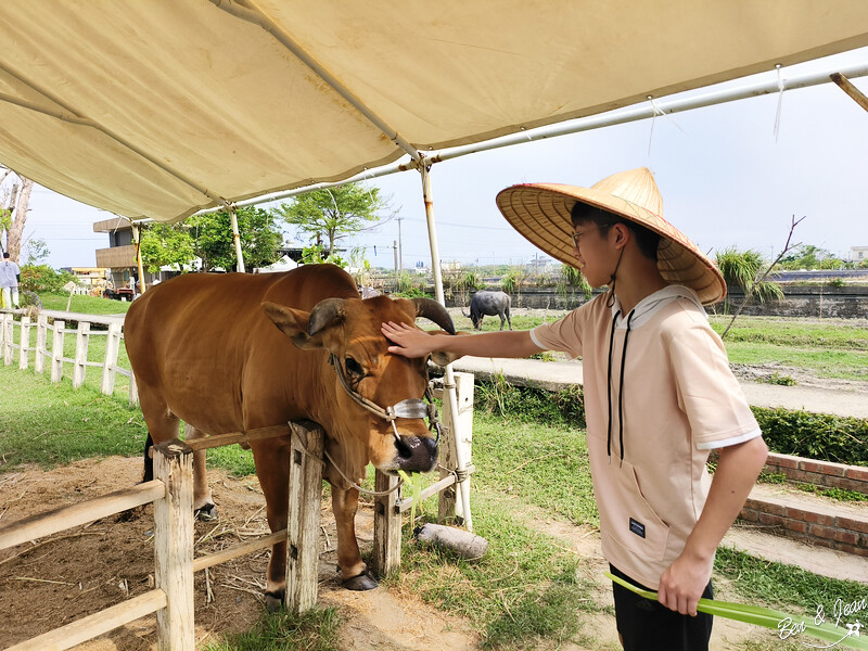 宜蘭縣壯圍鄉壯圍生活節》2024年「我願是你的風景」全方位的展演，多元藝術聚點，精采有趣、好吃又好玩