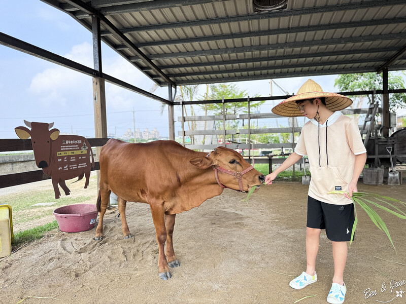 宜蘭縣壯圍鄉壯圍生活節》2024年「我願是你的風景」全方位的展演，多元藝術聚點，精采有趣、好吃又好玩