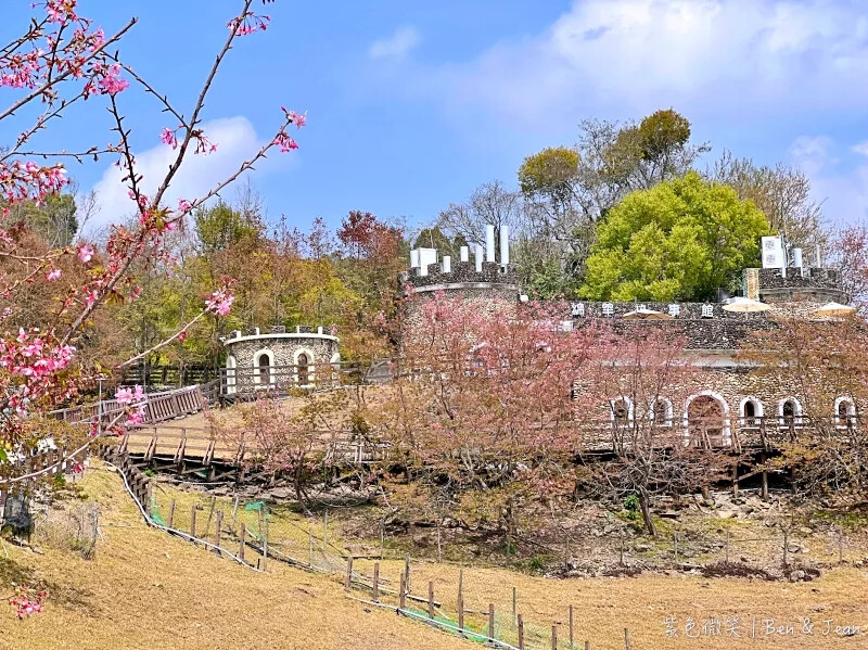 南投縣仁愛鄉清境農場一日遊|二日遊》青青草原門票資訊、交通地圖、綿羊秀、馬術秀精采又好看
