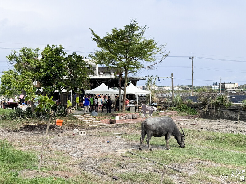 宜蘭縣壯圍鄉壯圍生活節》2024年「我願是你的風景」全方位的展演，多元藝術聚點，精采有趣、好吃又好玩